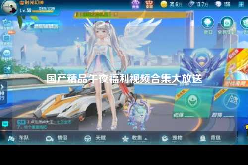 国产精品午夜福利视频合集大放送
