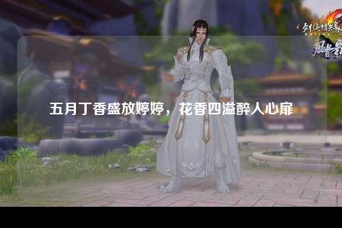 五月丁香盛放婷婷，花香四溢醉人心扉