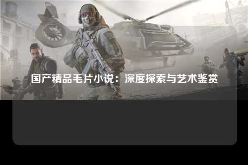 国产精品毛片小说：深度探索与艺术鉴赏