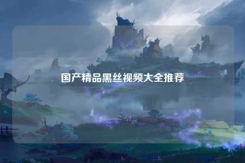国产精品黑丝视频大全推荐