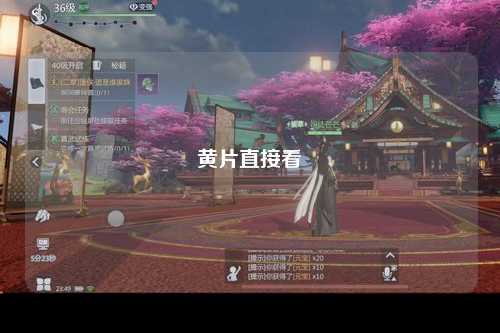 黄片直接看
