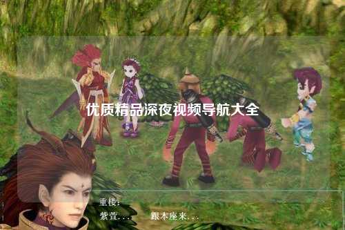 优质精品深夜视频导航大全