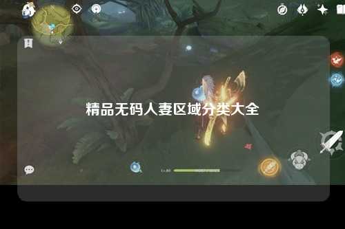 精品无码人妻区域分类大全