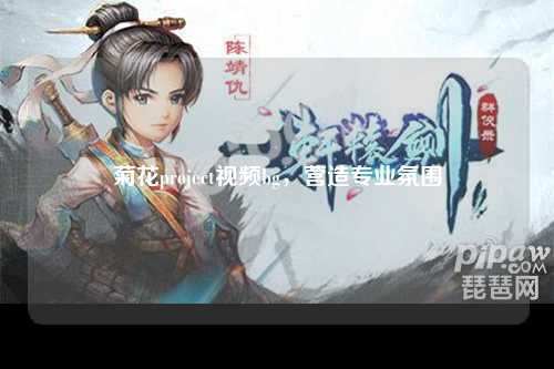 菊花project视频bg，营造专业氛围