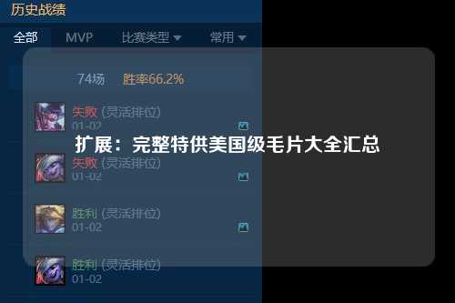 扩展：完整特供美国级毛片大全汇总